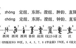 重磅：李娜将于8月16日打(请问李娜)